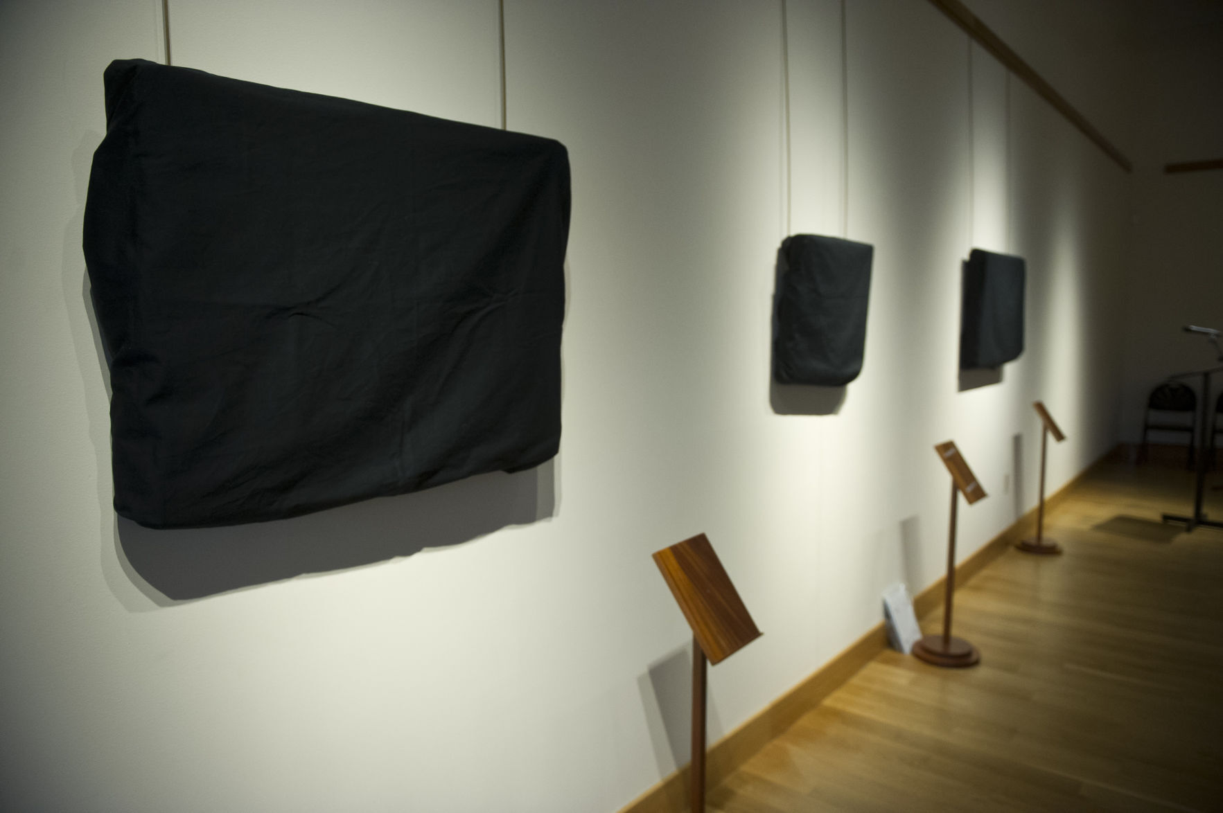 Art Unveiling 08